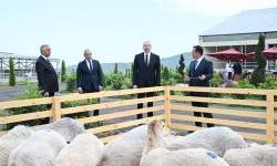 Azerbejdžansko-ruski sukob: ponovo na frontu