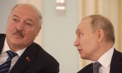 Putin očekuje od Bjelorusije riješi problem nestašice krompira u Rusiji zbog rata  