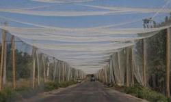 Why Donetsk 'fortress belt' matters so much for Ukraine's defences