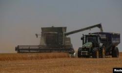 “A New Feeder for Medvedchuk.” Who and How Is Exporting Grain from the Occupied Territories of the South?