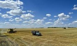 Stolen Ukrainian grain