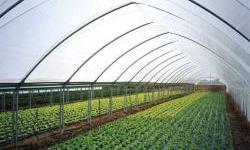 EU Project Supports Farmers: Progress, Not Just Recovery