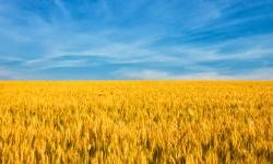 Garancija EBRD podržava 50 miliona eura novih kredita Credit Agricole Ukraine
