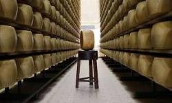 EU će odvesti Kinu na konsultacije u WTO zbog istrage o subvencijama za mlijeko