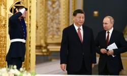 Panda i medvjed — odjeci osovine 20. stoljeća