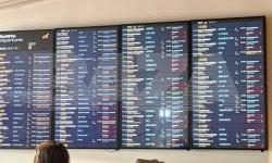 Hackers attack Russia’s largest state airline, disrupting dozens of flights. They sign off “Glory to Ukraine! Long live Belarus!”