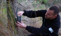 From calls to collars: How the EU is supporting wildlife tracking in Albania