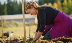 UNDP and Adaptation Fund launch US$5 million initiative to scale locally led climate adaptation innovation across the Western Balkans
