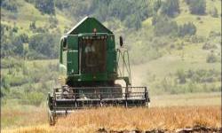 With IPARD 3 in seven years in the Macedonian agriculture will enter investments of 250 million euros
