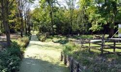 With the Interreg project of the Croatian Forests Hidden landscapes, the protected natural and cultural heritage of Baranja is being revitalized