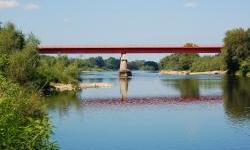 Radio Free Europe: The Morava River Ecosystem pays the price for the construction of Corridor 11
