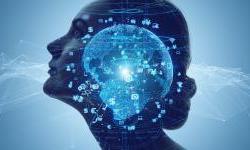 Promoting the digital revolution in the Western Balkans