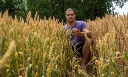 Home is the place to be: European Union supports farmers in Posavina