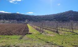 EU4AGRI gathered 30 winemakers from BiH