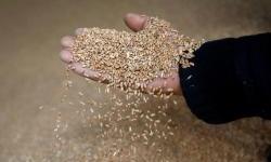 EU plans to counter Russia with food diplomacy in North Africa, Balkans