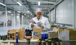 From the south of Herzegovina, Farmavit: Pioneering steps towards an unchallenged market leader