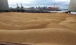 He stole it and took it to Moscow. How the Russians are trying to sell stolen Ukrainian grain to other countries