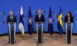 Why are Finland and Sweden joining NATO?