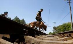 This train is on fire: how Russian partisans set fire to military registration and enlistment offices and derail trains