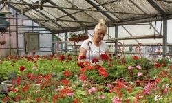 EBRD loan to Mi-Bospo for Bosnian MSMEs and greener buildings
