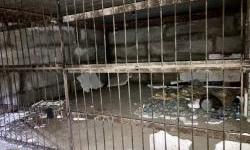 Russian War Crimes in Ukraine Torture as a Propaganda Tool