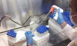 COVID-19 surveillance in wastewaters in Eastern Partner countries