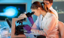 U.S. donated new equipment for healthcare and research facilities in Serbia