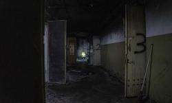 'I heard my husband’s inhuman screams'