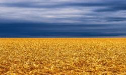 EBRD and the Netherlands support food security in Ukraine