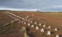 Russia is building defense lines in Crimea: are they afraid of a counter-offensive by the Armed Forces of Ukraine or corruption schemes?