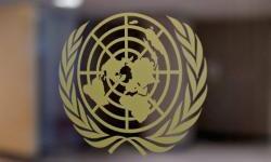 UN Security Council rejects Russo-Chinese Resolution on abolition of OHR