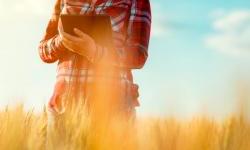 Digitization for More Efficient Agricultural Production