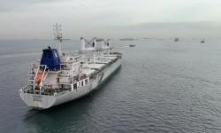 Black Sea grain deal extended for two months