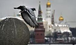 Elation and dismay: How Russians react to the fact that war has reached their homes