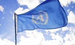 Home visits for pregnant mothers and young children expanded to Prishtina