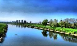 Saving Sava Valley from invasive species