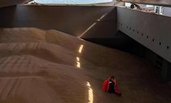 Millions will pay the price of Russia's grain deal exit: UN chief