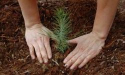SELECTED BEST PROPOSALS FOR NATURE CONSERVATION IN PROTECTED AREAS