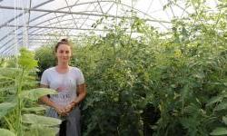 EU allocates €8 million for local employment partnerships in BiH