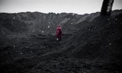 Russia plundering Ukraine's natural resources