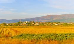 EBRD and Raiffeisen Bank Albania boost agribusiness and tourism
