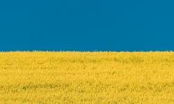 KSE: Refuting russia’s four grain narrative myths