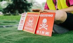 Who helps with demining Ukrainian fields, and how much it costs