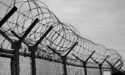 Stories from Captivity: Who Can Get Putin to Unblock Prisoner Swap