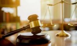 Sanctions, compensations, international jurisprudence: what has been done by the end of the second year of the great war