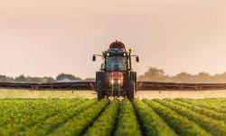 The First Results of the Digitised Agriculture Census