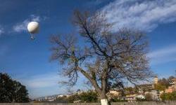 EU, UN and Austria launch new project to improve air quality in Georgia