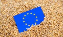 Council sets higher tariffs on Russian and Belarusian grain products