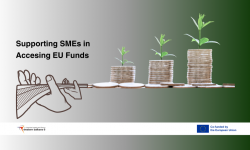 Bridging the Knowledge Gap: WB6 CIF’s Action to Empower Western Balkans SMEs in Accessing EU Funds