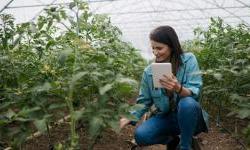 EBRD zajam od 15 miliona eura Intesa Sanpaolo Banci za programe Go Green i Go Digital